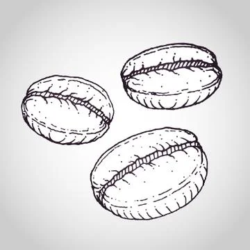 Coffee beans vector drawing Stock Illustration