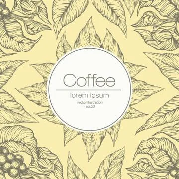Coffee beans vector illustration. Engraved vintage style illustration. Organic Stock Illustration