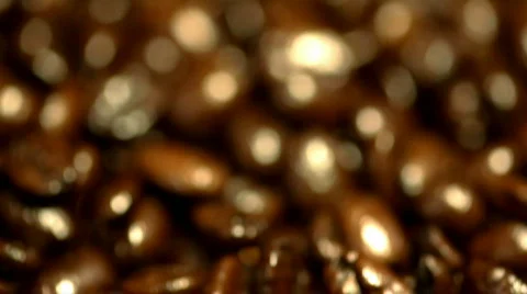 Coffee beans - vertical pan Stock Footage 311523