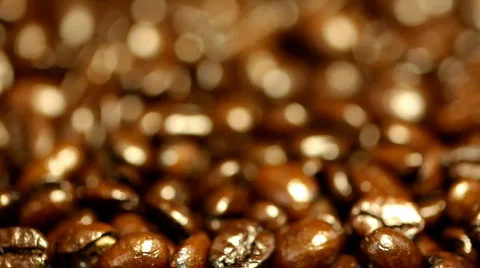 Coffee beans - vertical pan - version 2 Stock Footage 311373