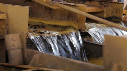 Coffee beans wash machine Stock Footage 113290031