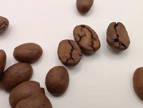 Coffee beans on a white background chaotically Stock Photos