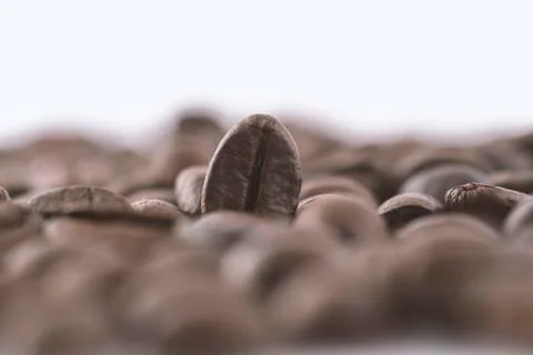 Coffee beans on white background, closeup, macro Stock Photos