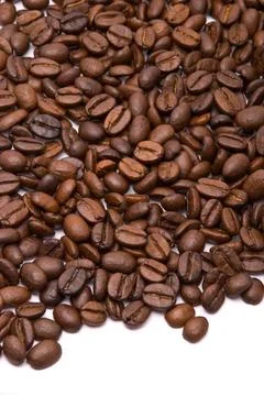 Coffee beans on a white background Coffee beans on a white background Copy... 스톡 사진