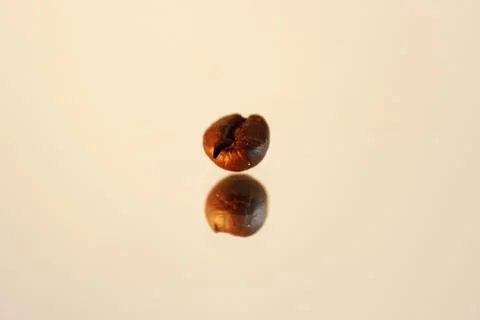 Coffee beans on a white background Stock Illustration