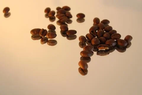 Coffee beans on a white background Stock Illustration
