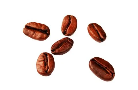 Coffee beans on a white background, insulators Stock Photos