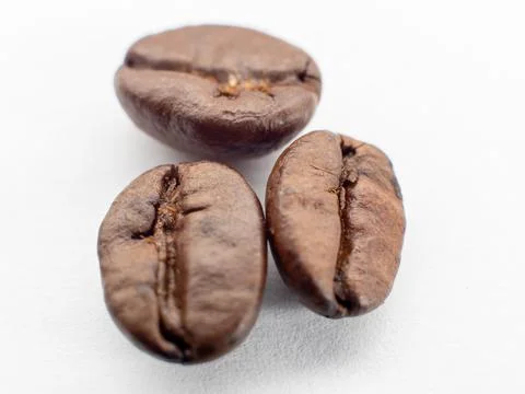 Coffee beans on a white background. Macro. Stock Photos
