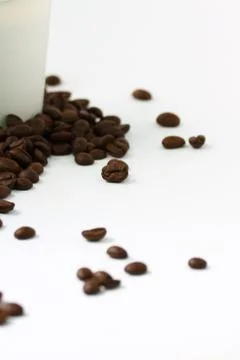 Coffee  beans on white background Stock Photos