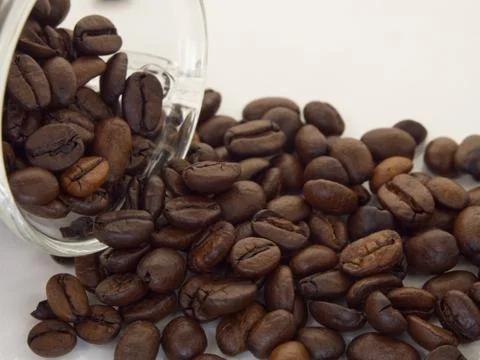 Coffee beans on white background 스톡 사진