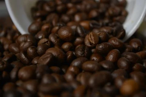 Coffee beans in a white Cup Stock Photos