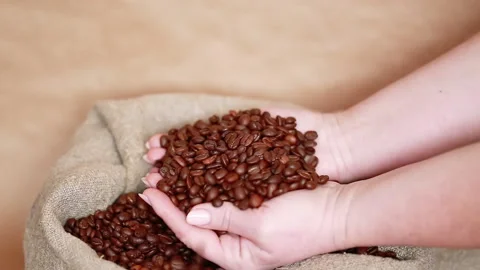Coffee beans in womens hands Video stock 170120703