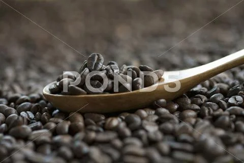 Coffee Beans On A Wooden Spoon