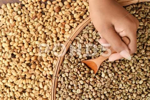 Coffee beans on wooden spoon Stock Photos