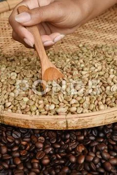 Coffee beans on wooden spoon Stock Photos