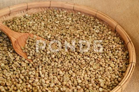 Coffee beans on wooden spoon Stock Photos