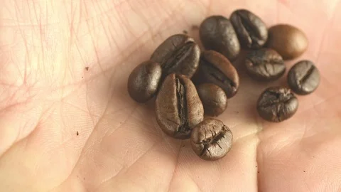 Coffee beans in your hand Stock Footage 103518985