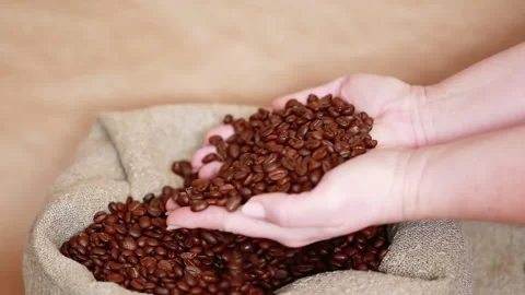 Coffee beans in your hands Stock Footage 170120722