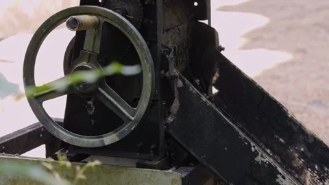 Coffee berries and manufacturing machine Stock Footage 290163922