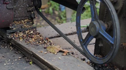 Coffee berries and manufacturing machine Stock Footage 290164146