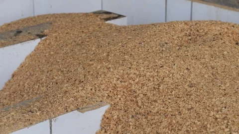 Coffee berries drying process, cascara tea making Stock Footage 290164121