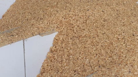 Coffee berries drying process, cascara tea making Stock Footage 291763641