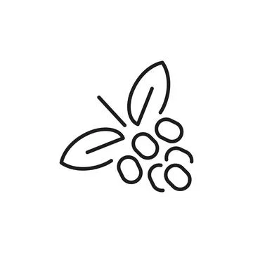 Coffee Berries Icon Stock Illustration