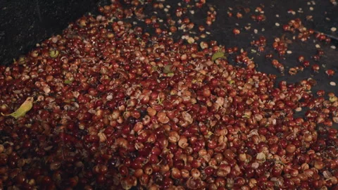 Coffee berries in a Traditional Process Stock Footage 270968771