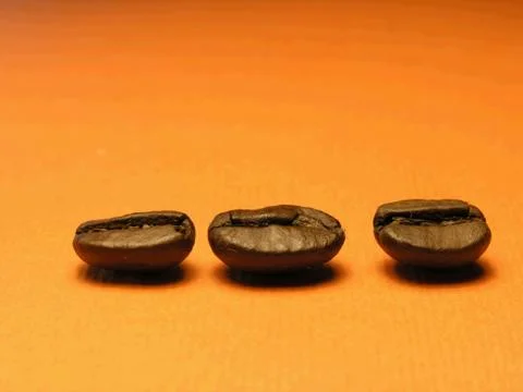 Coffee-berry Stock Photos