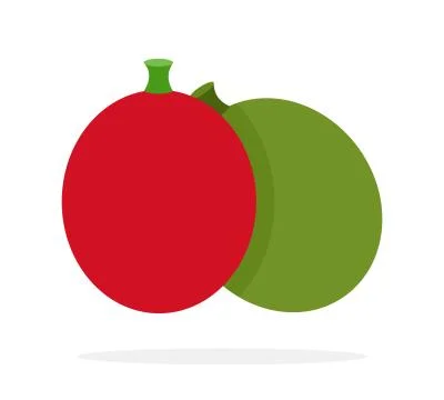 Coffee berry vector flat isolated Stock Illustration