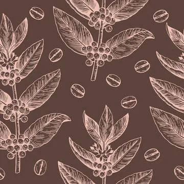 Coffee branches and beans. Seamless pattern in engraving vintage style. Vector Stock Illustration