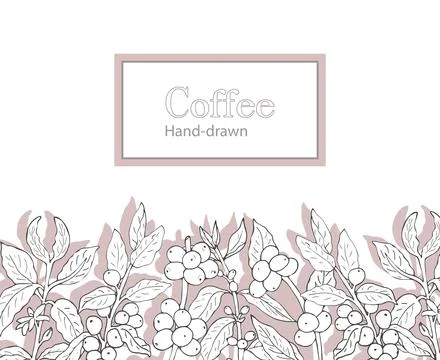 Coffee branches banner Stock Illustration