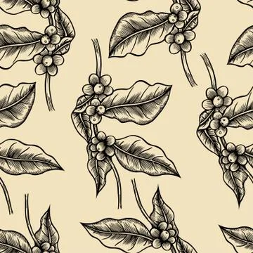 Coffee branches Illustration Illustrazione stock