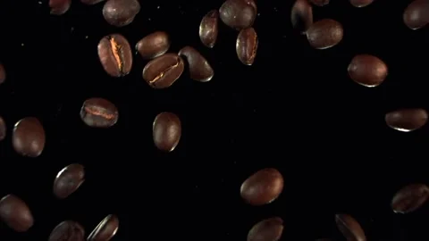 Coffee is brewed from ground coffee beans Stock Footage 141688041