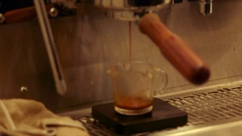 Coffee Brewing Vídeo Stock 103231566