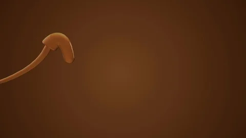 Coffee bubble script write on typography background 3D Render Stock Footage 113607229