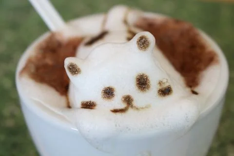 Coffee cat cafe handmade Stock Photos