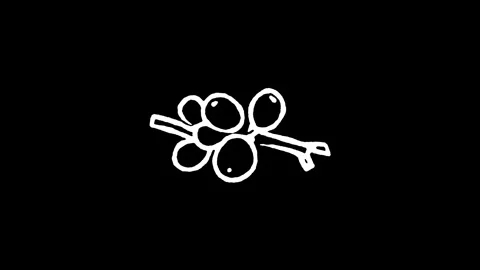 Coffee Cherry Branch Icon Stock Footage 347770687