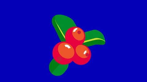 Coffee Cherry Fruit Animation Blue Screen Видео 345096507