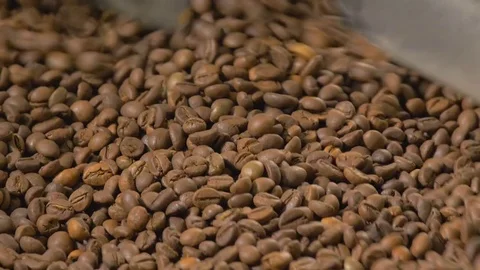 Coffee. Coffee beans. Stock Footage 82305732