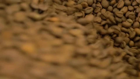 Coffee. Coffee beans. Stock Footage 82504324