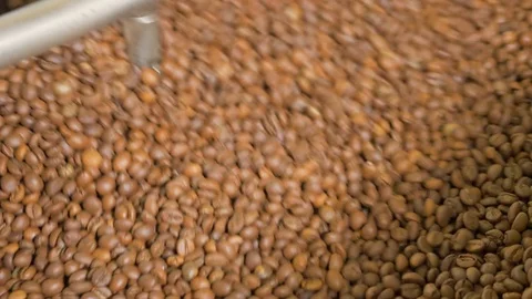 Coffee. Coffee beans. Stock Footage 82504372