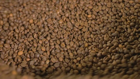 Coffee. Coffee beans. Stock Footage 82504384