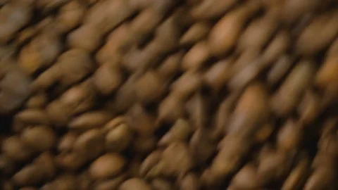 Coffee. Coffee beans. Stock Footage 82504485