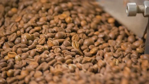 Coffee. Coffee beans. Stock Footage 82504534