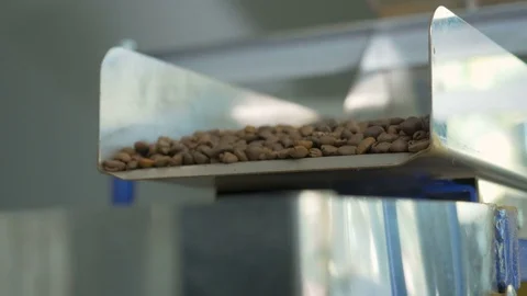 Coffee. Coffee beans. Stock Footage 82504893