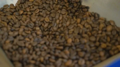 Coffee. Coffee beans. Stock Footage 82504955