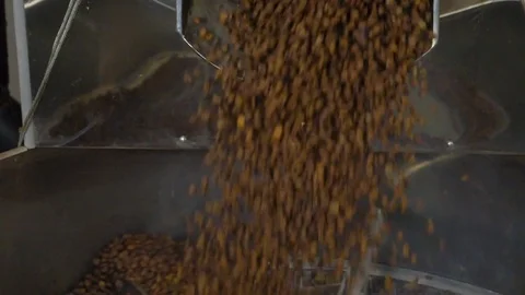 Coffee. Coffee beans. Stock Footage 82505925