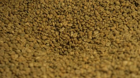 Coffee. Coffee beans. Stock Footage 82505930