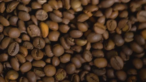 Coffee. Coffee beans. Stock Footage 82505976